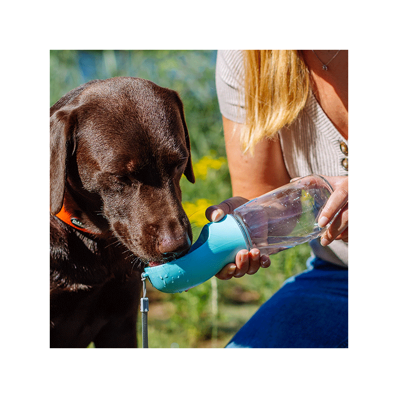 Nobby mėlyna kelioninė gertuvė augintiniams