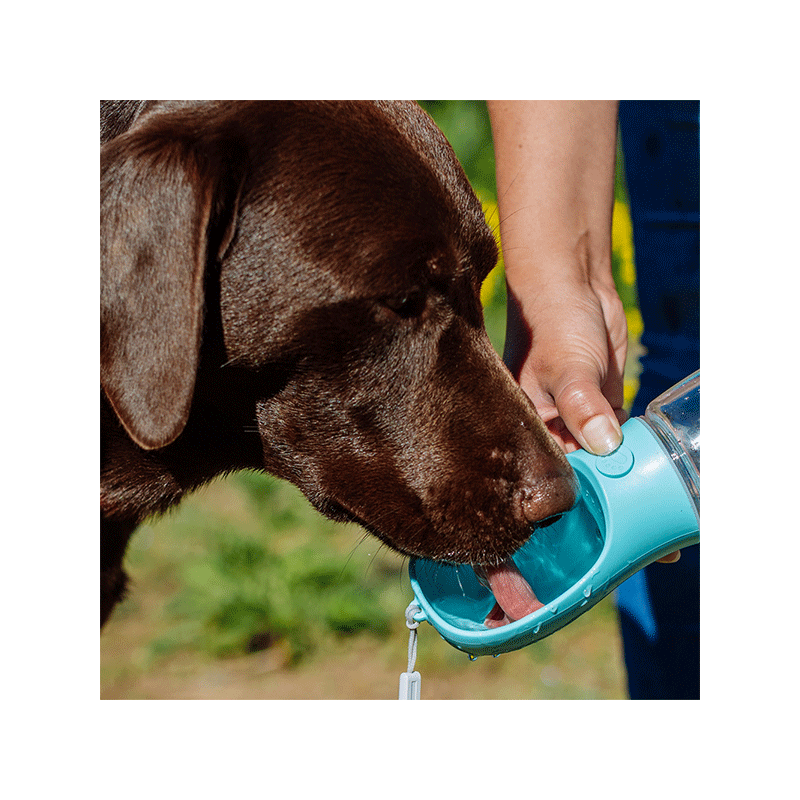 Nobby mėlyna kelioninė gertuvė augintiniams