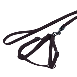 Nobby petnešos ir pavadėlis...