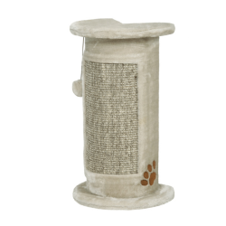 Nobby Ecki kampinė...