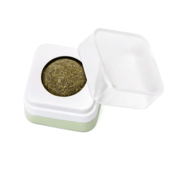 Nobleza katžolės...