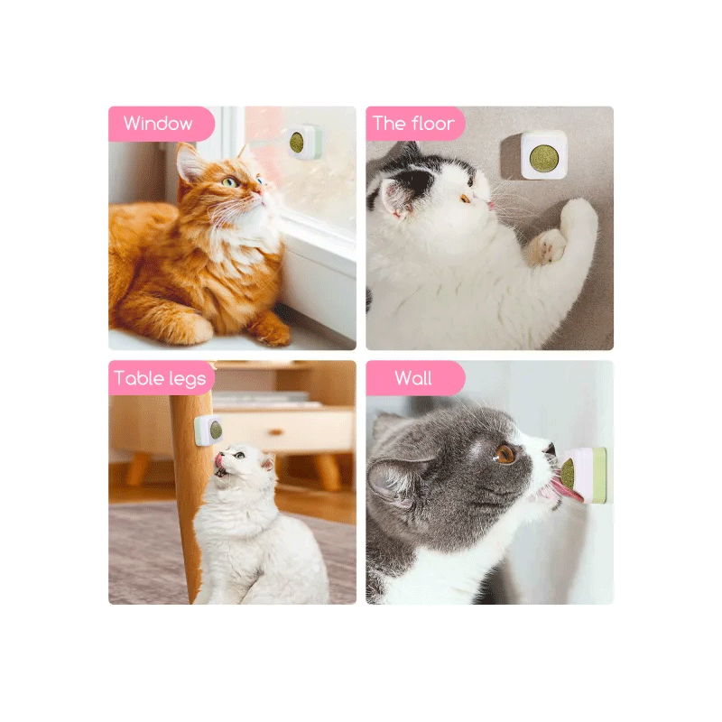 Nobleza katžolės kamuoliukas katėms