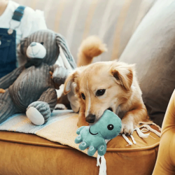 Nobleza pliušinis aštuonkojis žaislas šunims