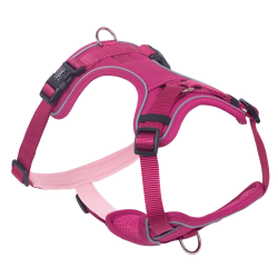 Nobby Mailo rožinės...