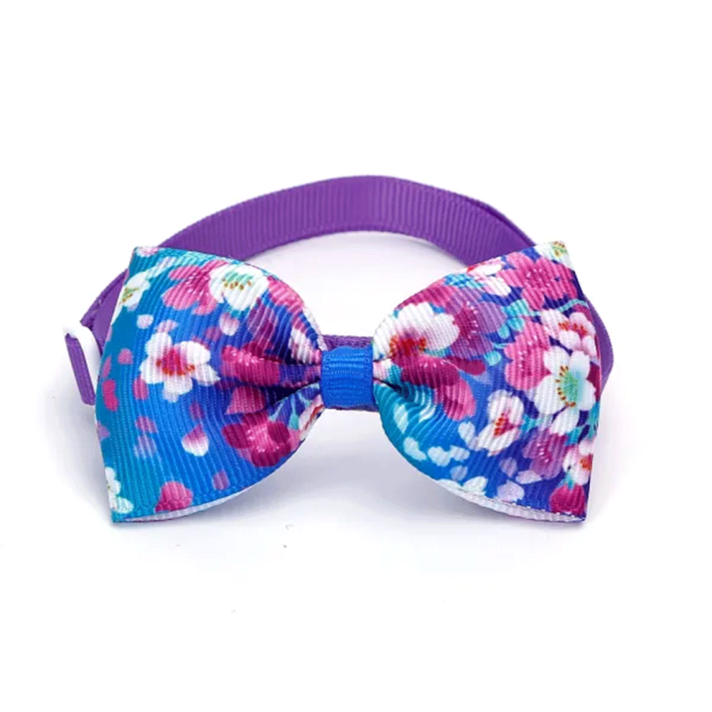 Nobleza antkaklis–varlytė augintiniui, 20–36 cm