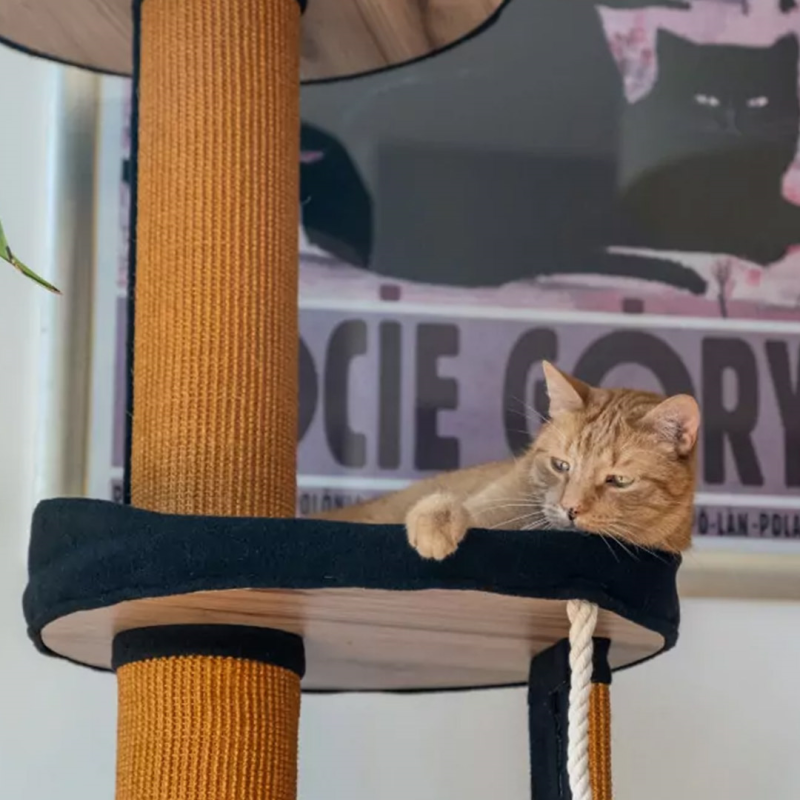 Ecomfy Mega Jack draskyklė katėms