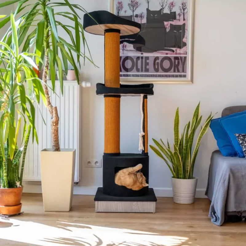 Ecomfy Mega Jack draskyklė katėms