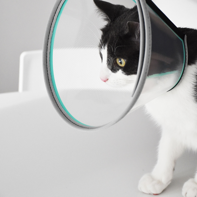 Genia Velfast apsauginis gaubtas šunims ir katėms, 30 cm