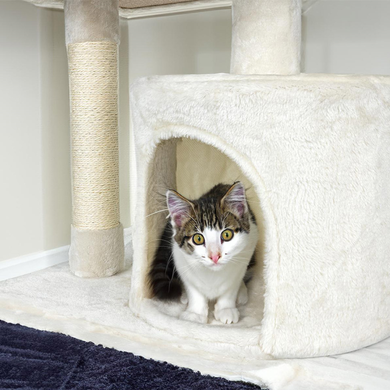 Happet smėlinė draskyklė katėms