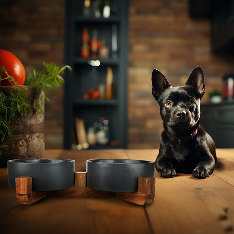 Happet keraminiai dubenėliai su mediniu stovu augintiniams, 0,81l