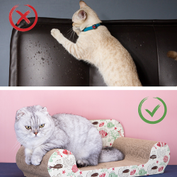 Nobleza ruda draskymo lenta su katžole katėms