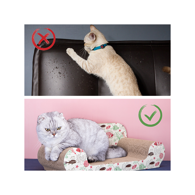 Nobleza ruda draskymo lenta su katžole katėms