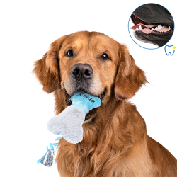 Nobleza Koala pliušinis kaulas žaislas šunims