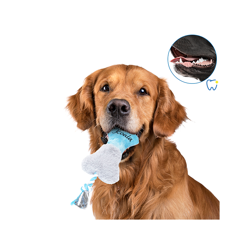 Nobleza Koala pliušinis kaulas žaislas šunims