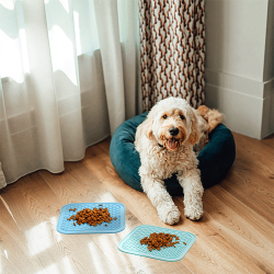 Nobleza silikoninis laižymo kilimėlis šunims