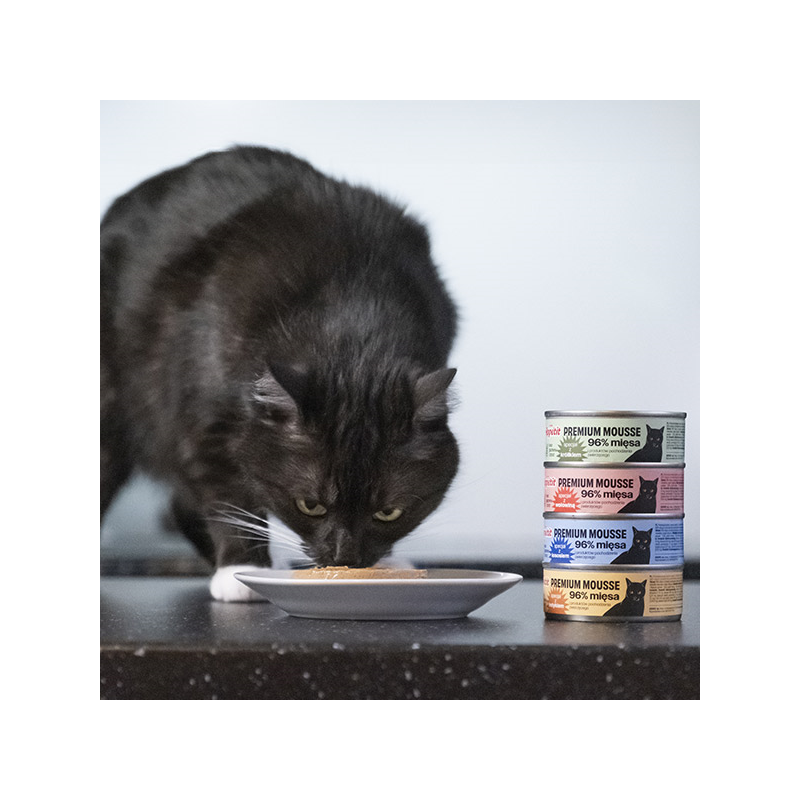 Comfy Appetit Premium konservai katėms su kalakutiena, 85 g