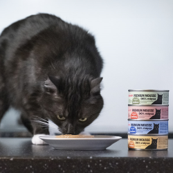 Comfy Appetit Premium konservai katėms su lašiša, 85 g