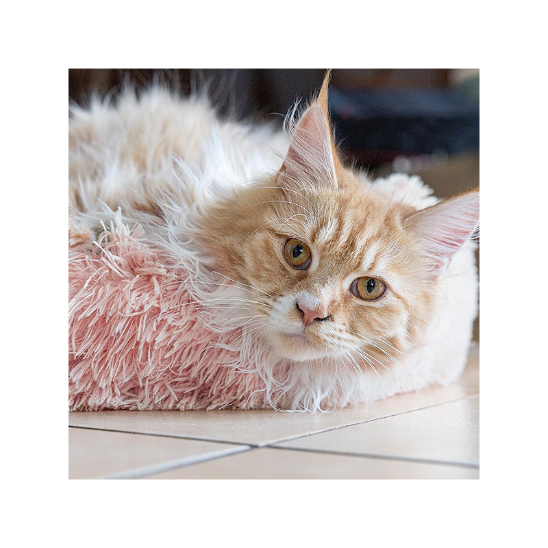 Happet rožinis guolis augintiniui, 40 cm