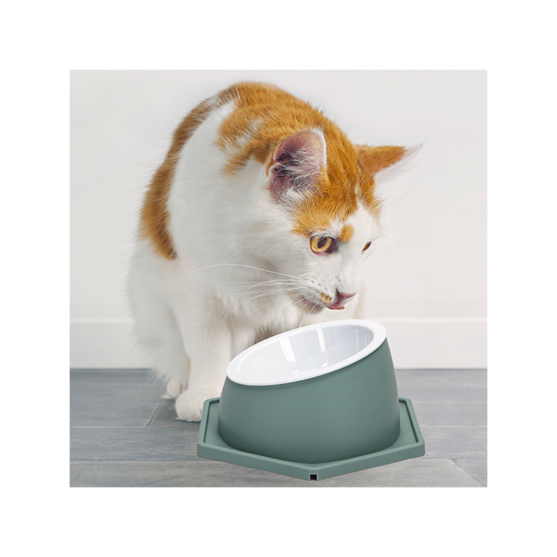 Nobleza paaukštintas dubenėlis katėms, 22x19x9,4 cm