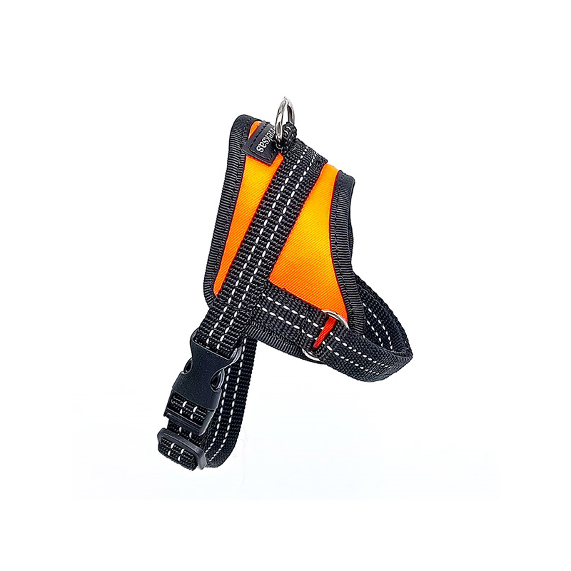 Fleksas oranžinės petnešos šunims, XS, 35 cm