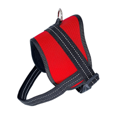 Fleksas raudonos petnešos šunims, S, 45 cm