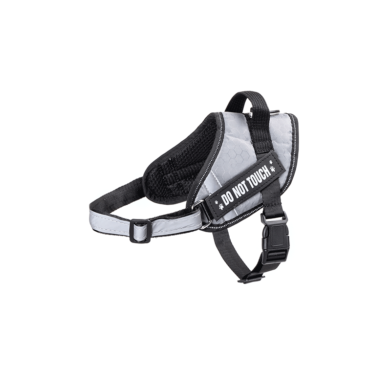 Nobleza „Do not touch“ petnešos šuniui, S, 46–62 cm