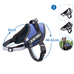 Nobleza „Do not touch“ petnešos šuniui, S, 46–62 cm