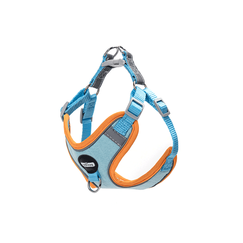 Nobleza petnešos šuniui, XXS