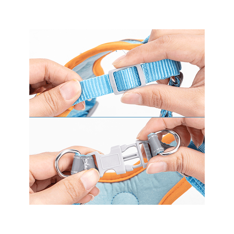 Nobleza petnešos šuniui, XXS