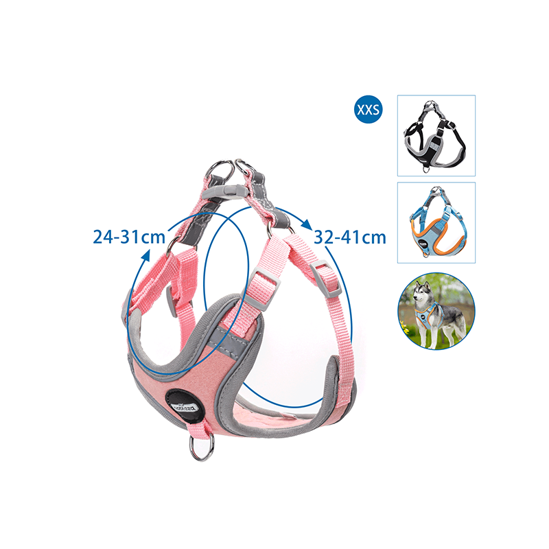 Nobleza petnešos šuniui, XXS