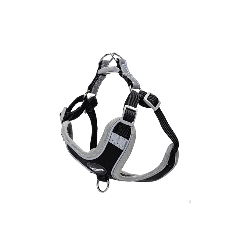 Nobleza petnešos šuniui, XS