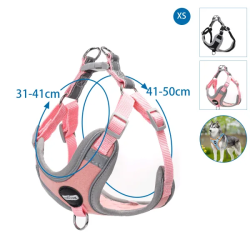 Nobleza petnešos šuniui, XS