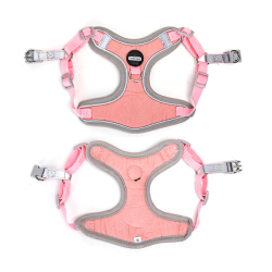 Nobleza petnešos šuniui, L