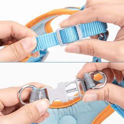 Nobleza petnešos šuniui, L