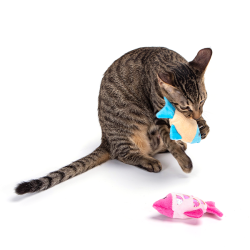 Nobleza žuvis su katžole žaislas katėms