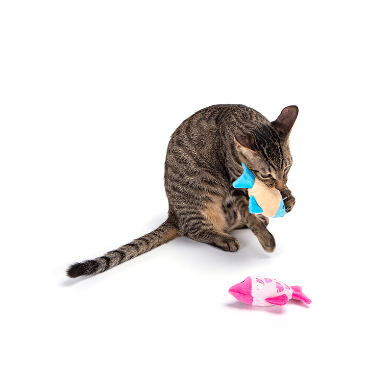 Nobleza žuvis su katžole žaislas katėms