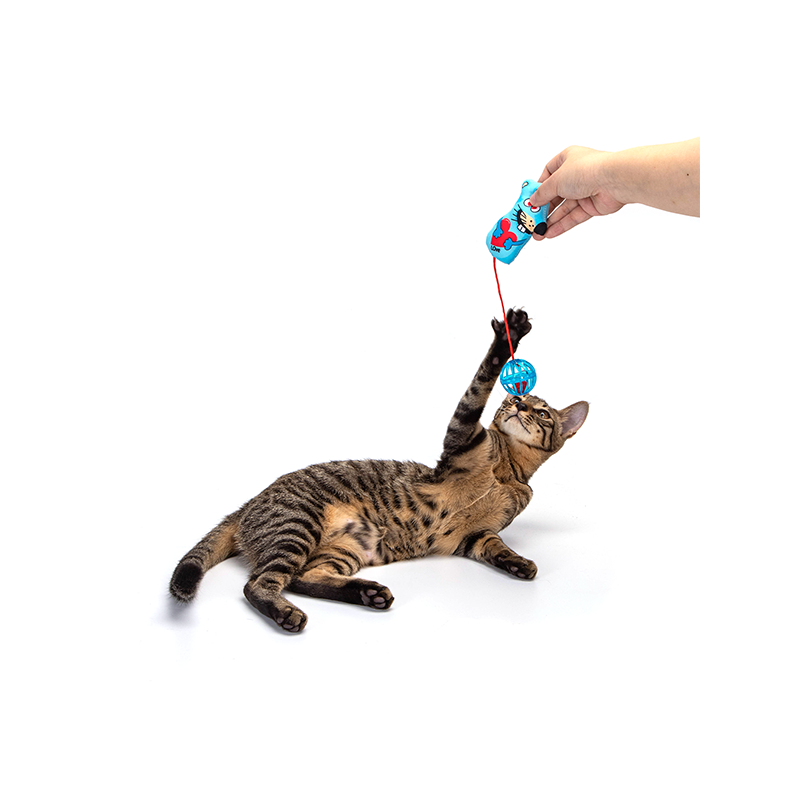 Nobleza pelė ir kamuoliukas su katžole žaislas katėms