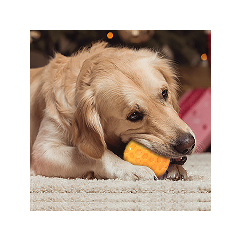 Nobleza kamuoliukas augintiniui