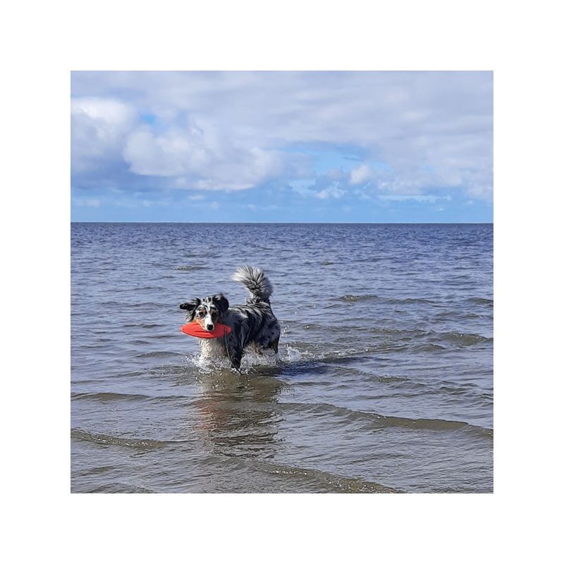 Nobby gelbėjimosi plūduras šuniui, 26 cm