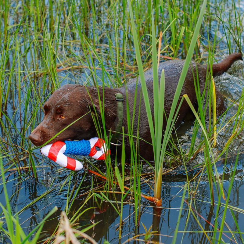 Nobby plūduriuojantis inkaras žaislas šunims, 24,5 cm