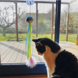 Nobby pliušinis žaislas su katžole katėms