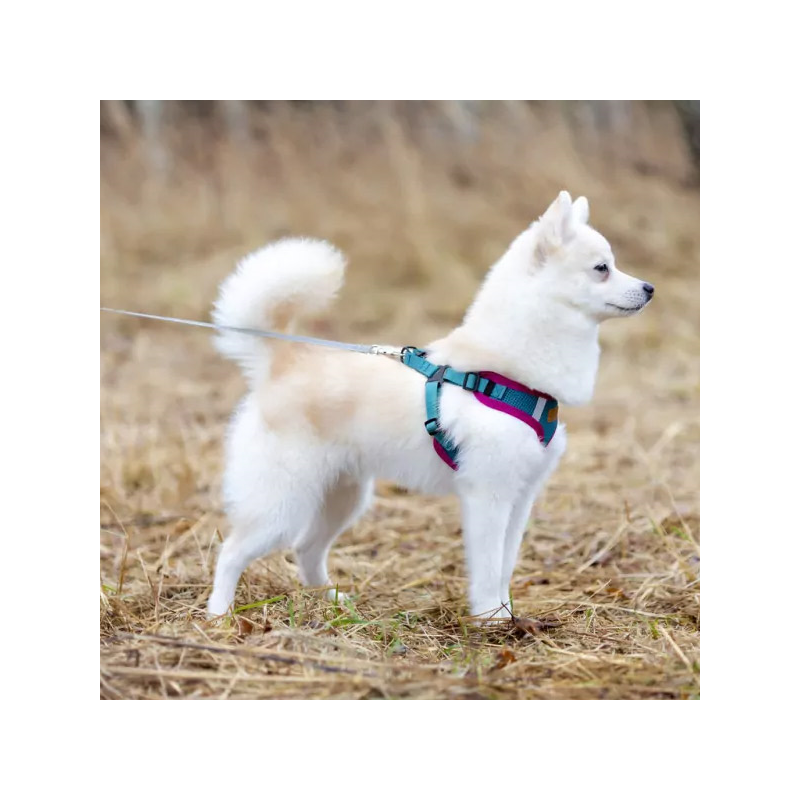 Comfy LEO žalios petnešos šunims, L