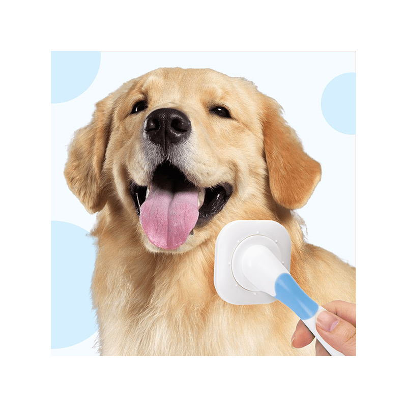 Nobleza šukos su besisukančia galvute augintiniams, 6,5x15 cm