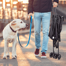 Nobleza sulankstomas, kelioninis vežimėlis augintiniams, 65x42x94 cm