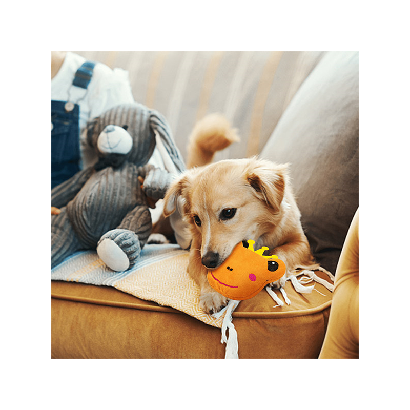 Nobleza cypsinti, pliušinė varlė žaislas šunims