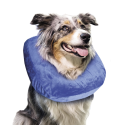 Nobby pripučiama apsauginė apykaklė augintiniams, M