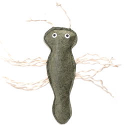 Nobleza minkšti žaislai su katžole katei, 1 vnt.