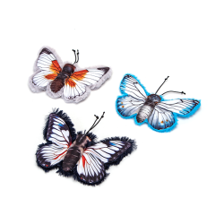 Nobleza drugelis su katžole...