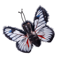 Nobleza drugelis su katžole žaislas katėms, 1 vnt.