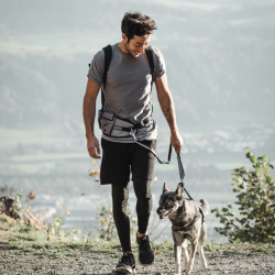 Nobby Expert laisvų rankų pavadėlis šunims su diržu per juosmenį, 52x14 cm